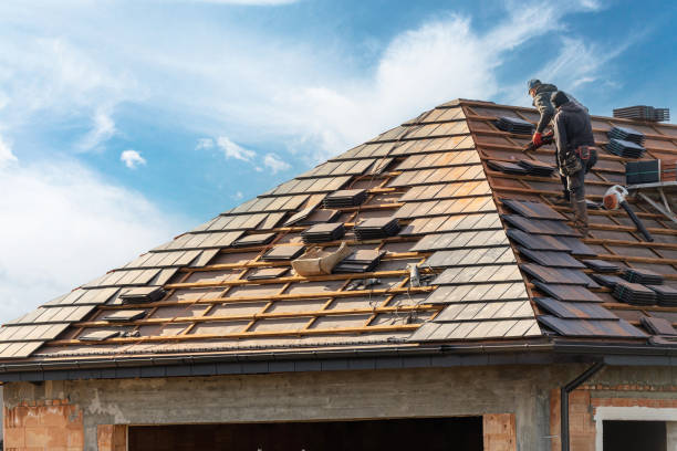Best Gutter Replacement  in Phoenix, IL